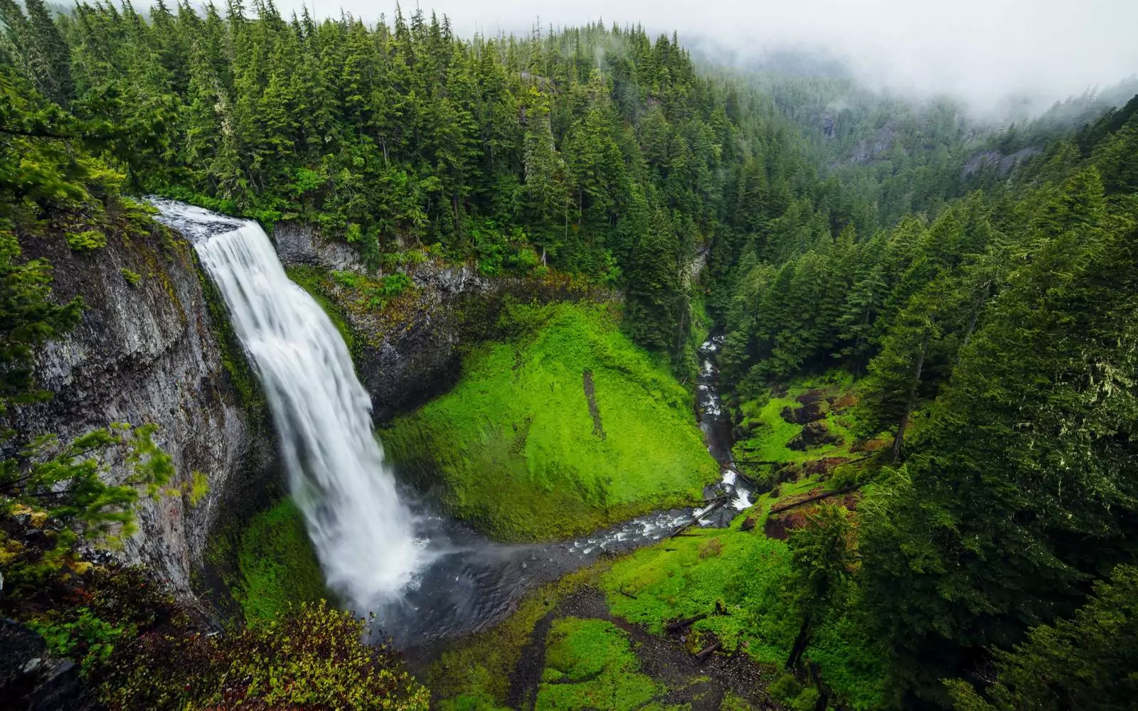 Image de test — article lorem ipsum